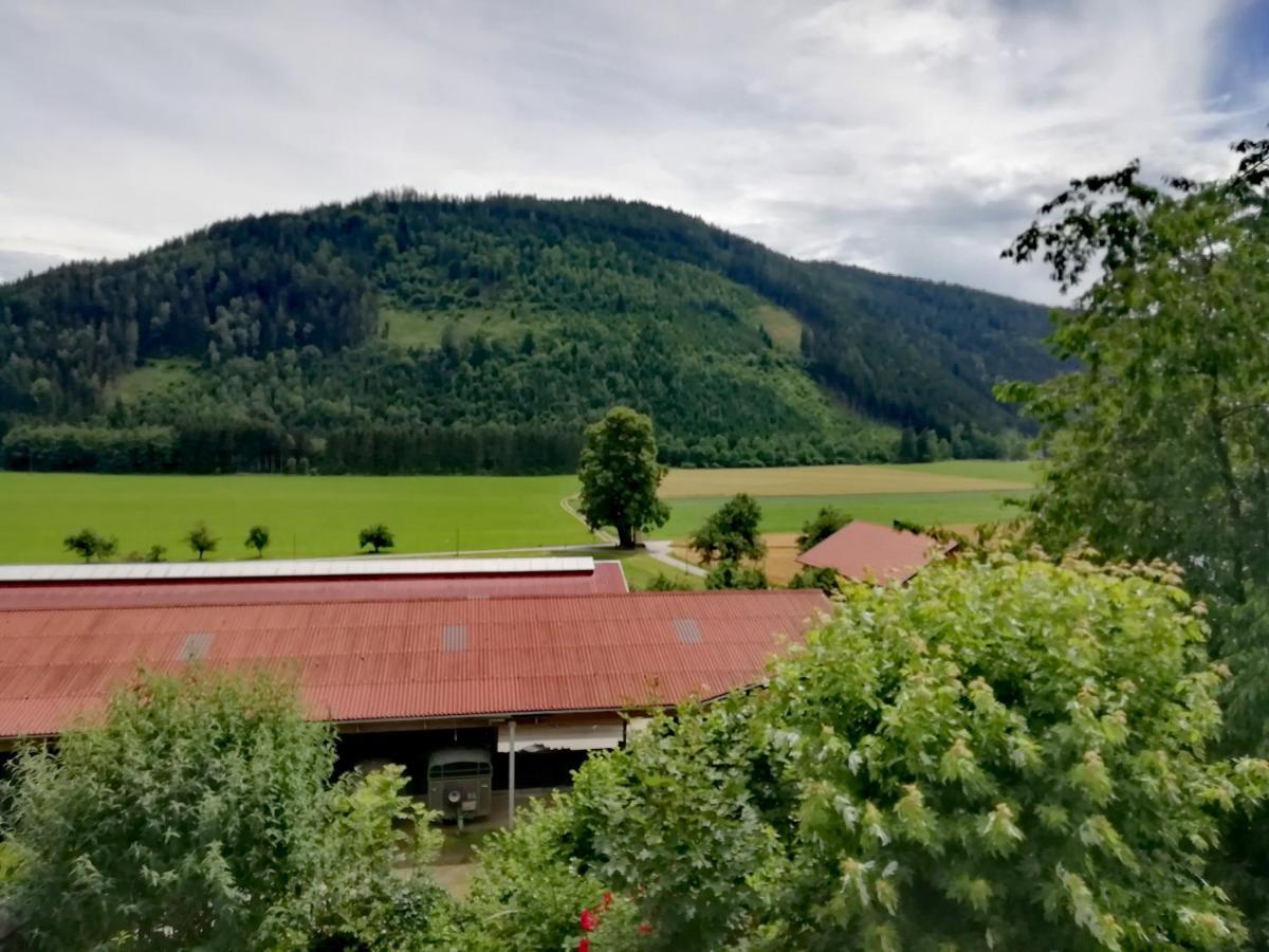 Ferienwohnung Erni Feldkirchen in Kärnten Exterior foto